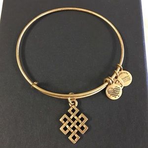 Alex and ani endless knot
